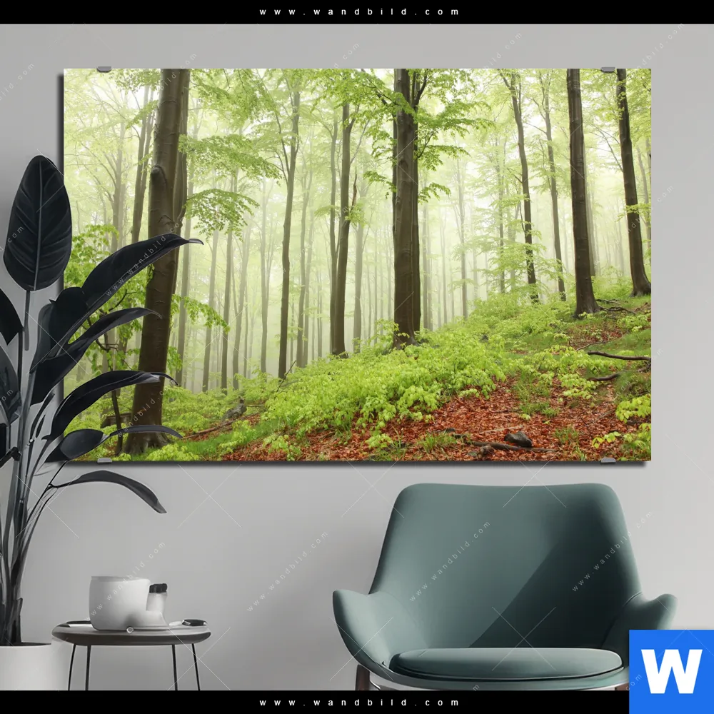 Aluminiumbild gebürstet | Unberührte Natur - Der Wald | Querformat