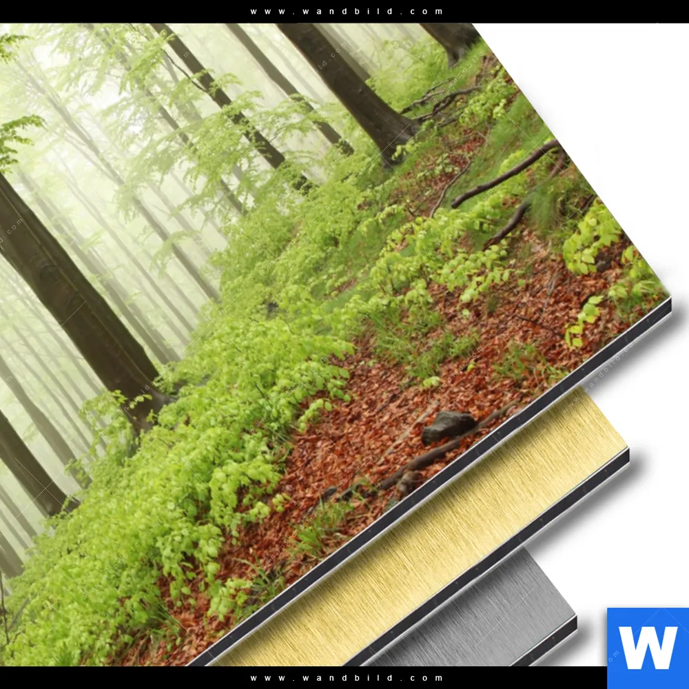 Aluminiumbild gebürstet | Unberührte Natur - Der Wald | Querformat - Image 3