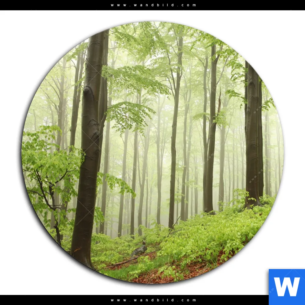 Aluminiumbild gebürstet | Unberührte Natur - Der Wald | Rund - Image 2