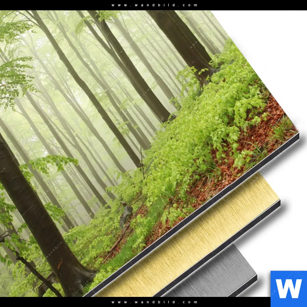 Aluminiumbild gebürstet | Unberührte Natur - Der Wald | Rund - Image 3