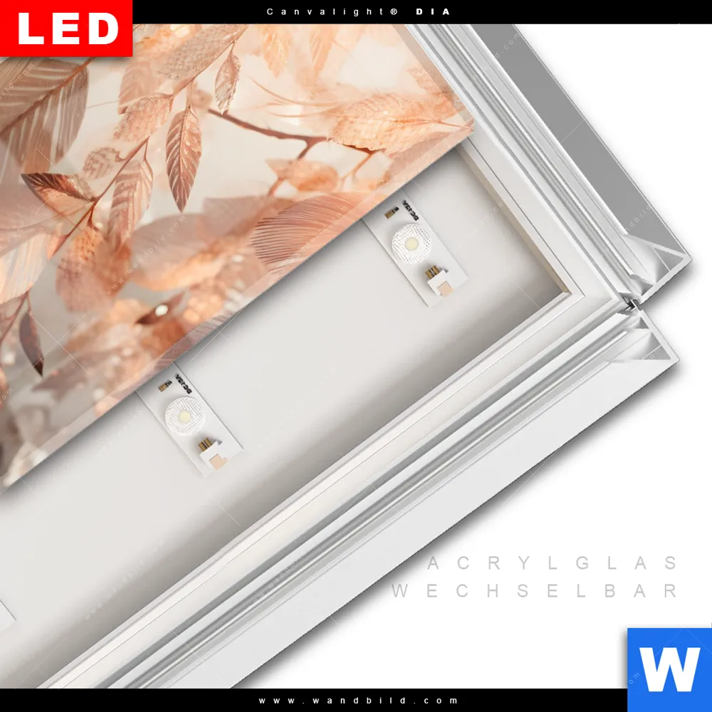 Leuchtbild Acrylglas Canvalight® DIA | Blätter im Sonnenlicht | Quadrat - Image 3