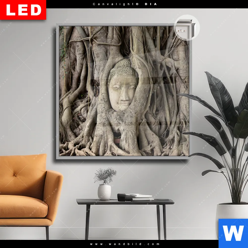 Leuchtbild Acrylglas Canvalight® DIA | Buddha in Baumwurzeln | Quadrat