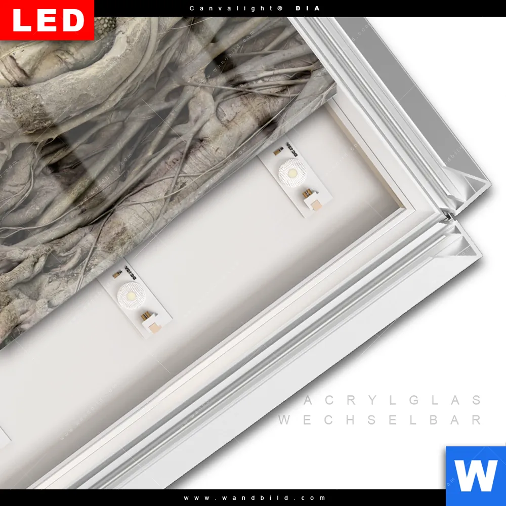 Leuchtbild Acrylglas Canvalight® DIA | Buddha in Baumwurzeln | Quadrat - Image 3