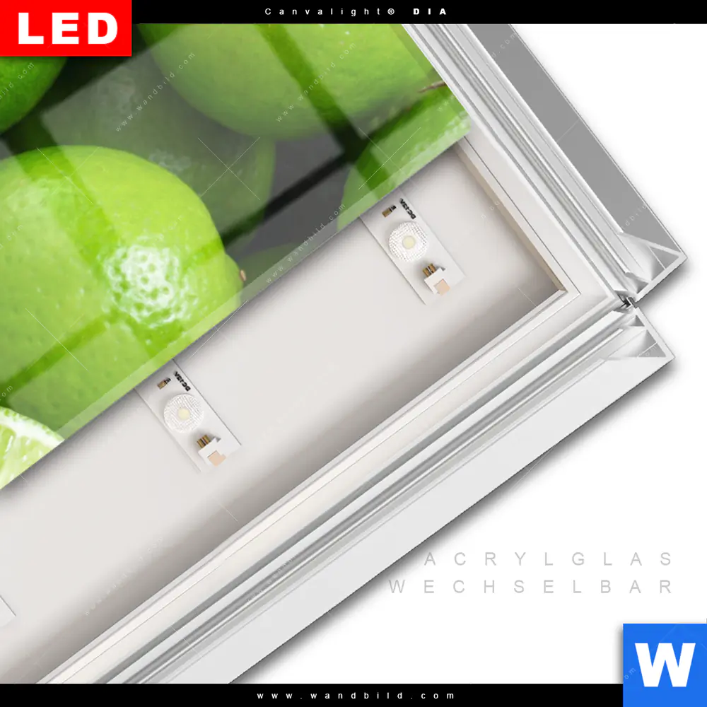 Leuchtbild Acrylglas Canvalight® DIA | Saftige Limetten voller Energie | Panorama - Image 3