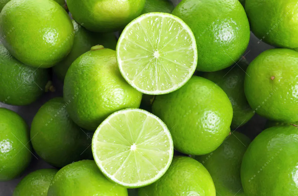 Leuchtbild Acrylglas Canvalight® DIA | Saftige Limetten voller Energie | Panorama - Image 5