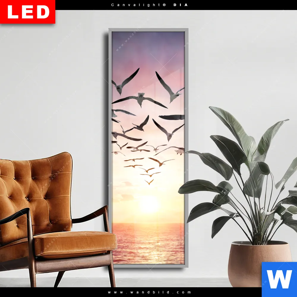 Wechselmotiv Acrylglas Canvalight® DIA | Flügel der Freiheit | Schmal