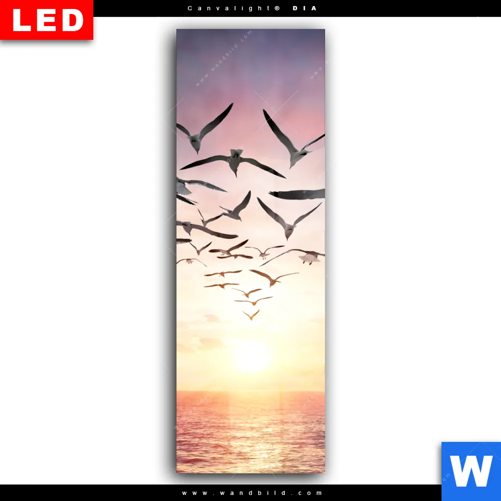 Wechselmotiv Acrylglas Canvalight® DIA | Flügel der Freiheit | Schmal - Image 2