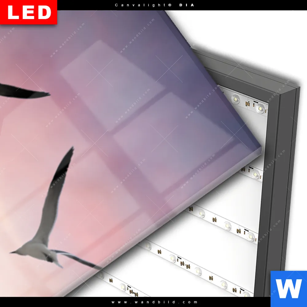 Wechselmotiv Acrylglas Canvalight® DIA | Flügel der Freiheit | Schmal - Image 3