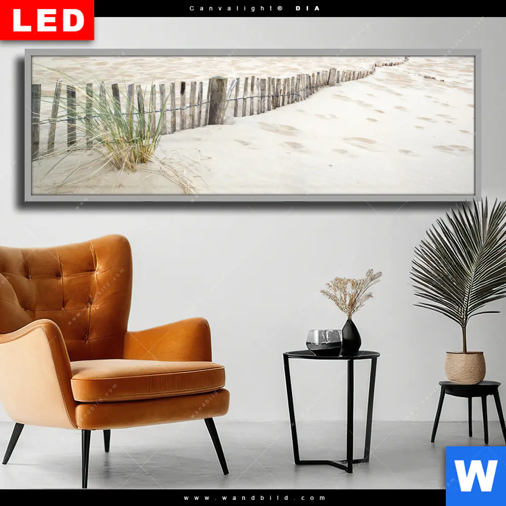 Wechselmotiv Acrylglas Canvalight® DIA | Gräser am Ostseestrand | Panorama