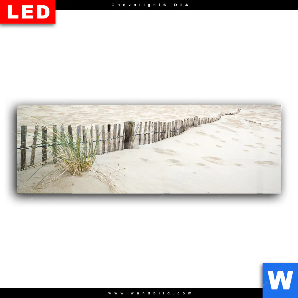 Wechselmotiv Acrylglas Canvalight® DIA | Gräser am Ostseestrand | Panorama - Image 2