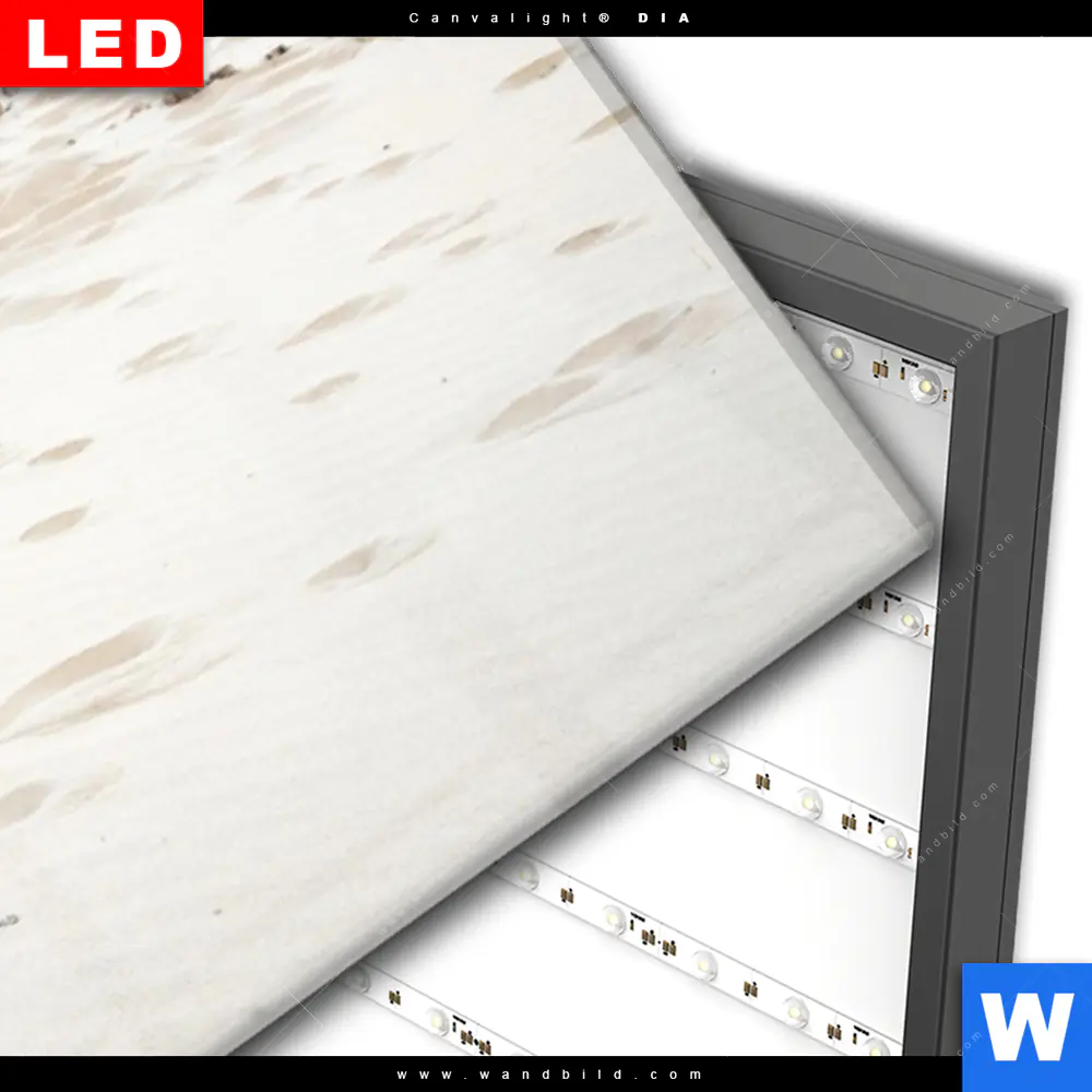Wechselmotiv Acrylglas Canvalight® DIA | Gräser am Ostseestrand | Panorama - Image 3