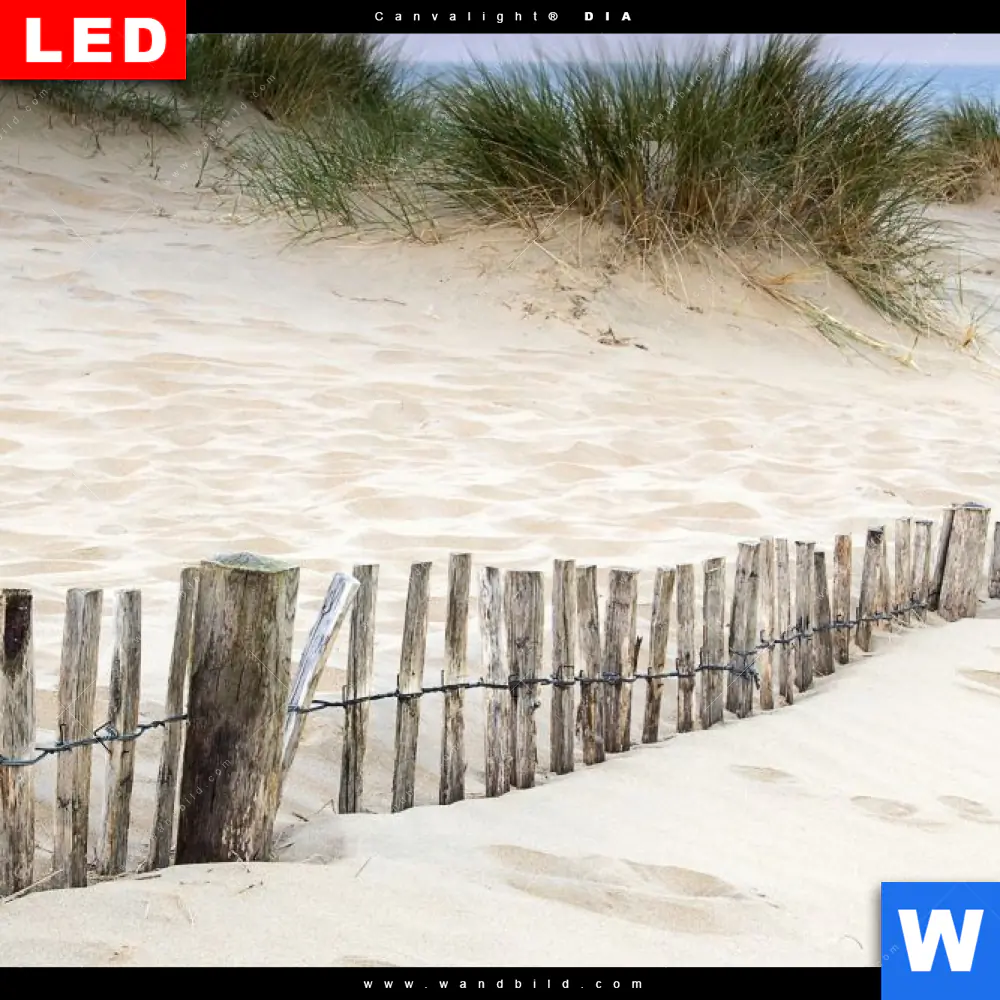 Wechselmotiv Acrylglas Canvalight® DIA | Gräser am Ostseestrand | Panorama - Image 4
