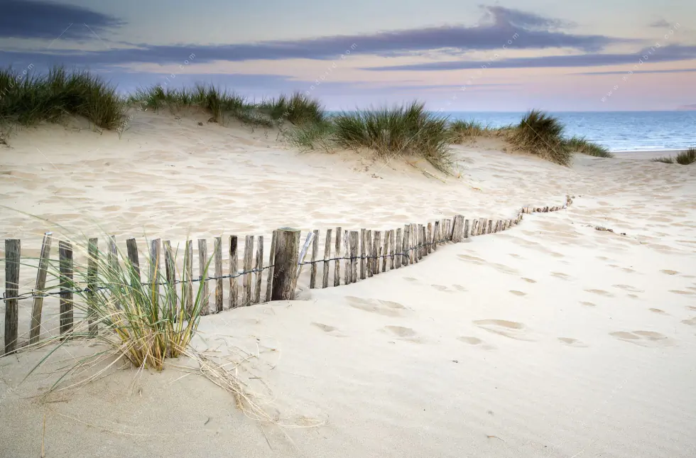Wechselmotiv Acrylglas Canvalight® DIA | Gräser am Ostseestrand | Panorama - Image 5