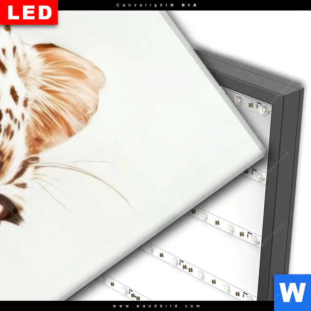 Wechselmotiv Acrylglas Canvalight® DIA | Leopard in Farbexplosion | Schmal - Image 3