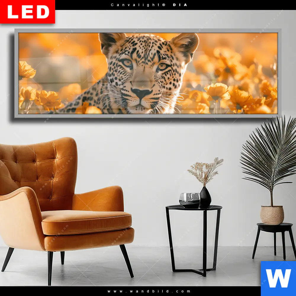 Wechselmotiv Acrylglas Canvalight® DIA | Leopardentraum in Orange | Panorama