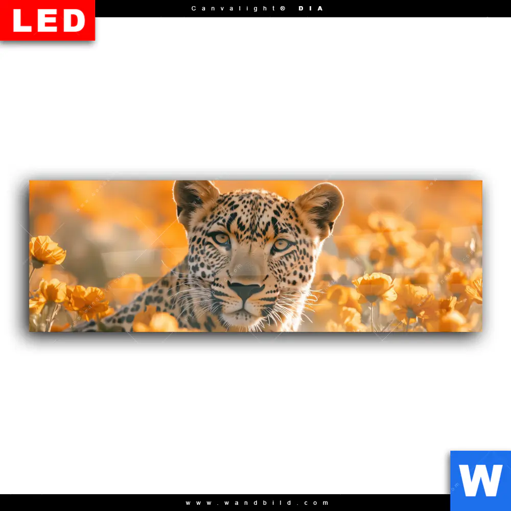 Wechselmotiv Acrylglas Canvalight® DIA | Leopardentraum in Orange | Panorama - Image 2