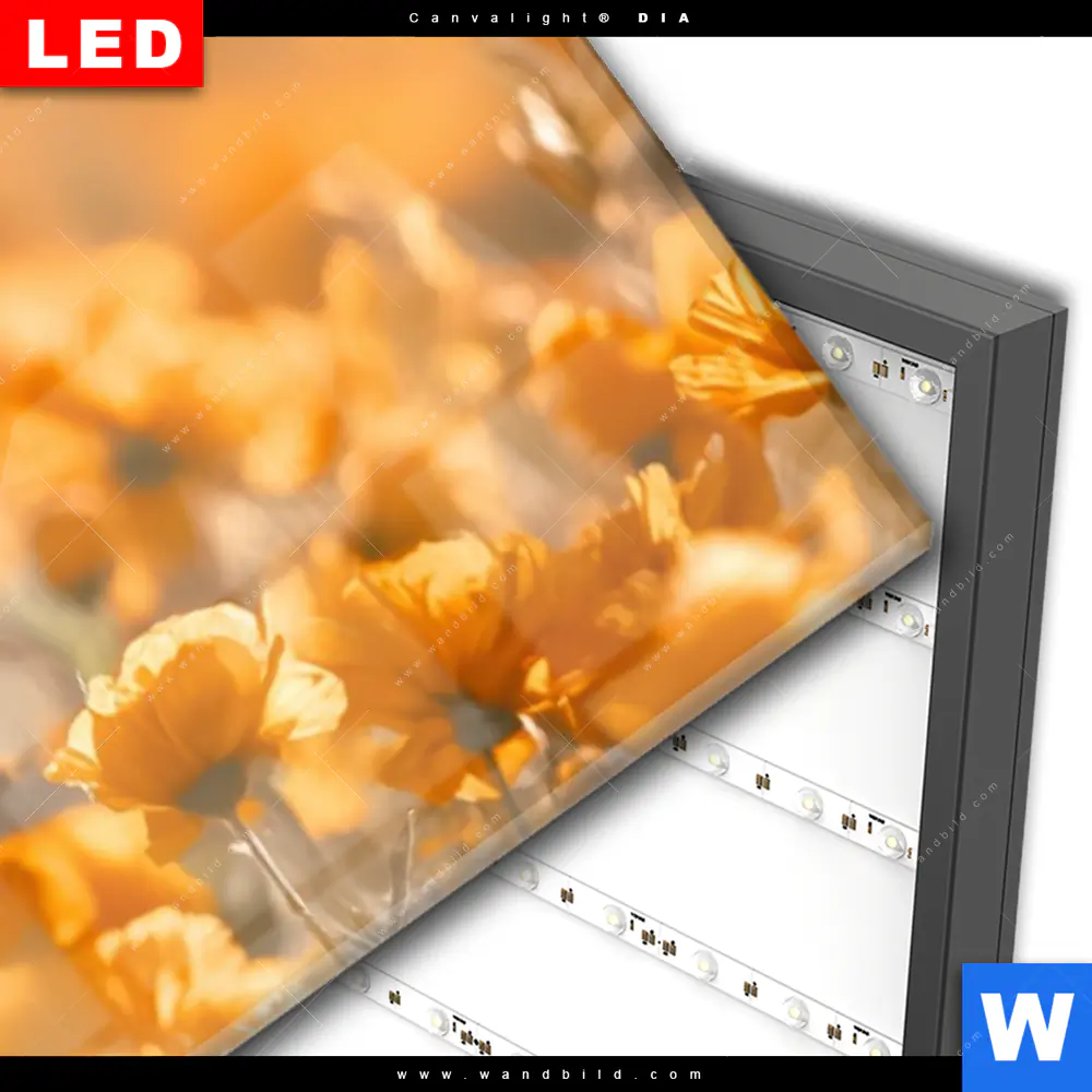 Wechselmotiv Acrylglas Canvalight® DIA | Leopardentraum in Orange | Panorama - Image 3
